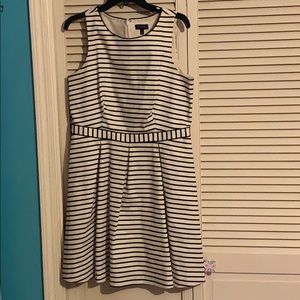 The limited striped dress
